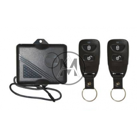 Keyless Entry HYUNDAI CIONDOLO  2 TASTI